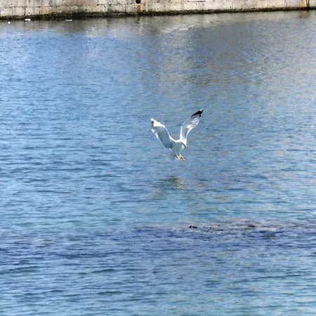 Appartamento Bilo Lido San Giovanni *